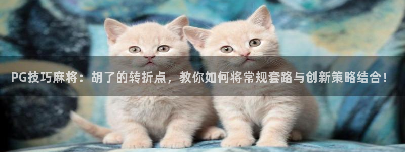 狗子28集团总部