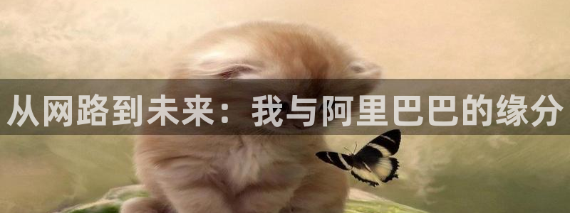 狗子28官网入口：从网路到未来：我与阿里巴巴的缘分
