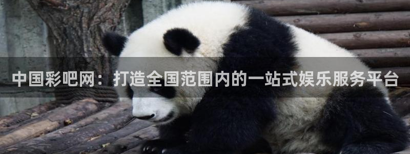 中国彩吧网：打造全国范围内的一站式娱乐服务平台