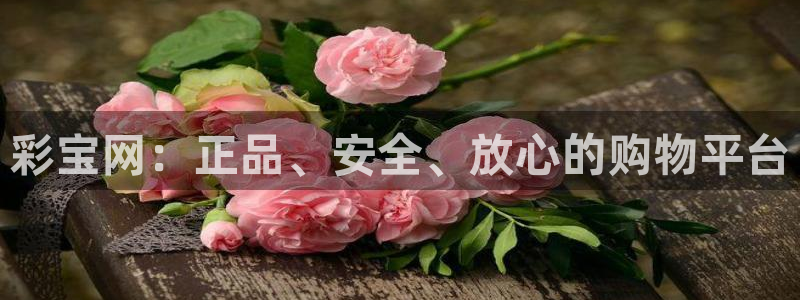 福建狗子28机电股份公司：彩宝网：正品、安全、放心的购物平台
