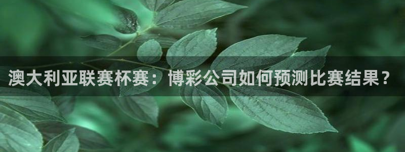 狗子282平台登录：澳大利亚联赛杯赛：博彩公司如何预测比赛结果？