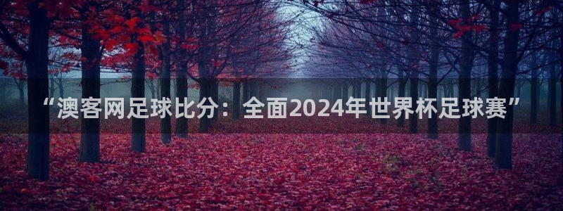 狗子285招商：“澳客网足球比分：全面2024年世界杯足球赛”