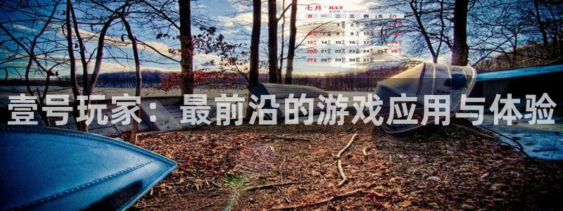 狗子284注册：壹号玩家：最前沿的游戏应用与体验